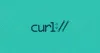 Curl query string