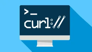 Curl follow HTTP redirect