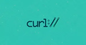 Curl set header