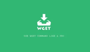 Wget download and specify the save directory