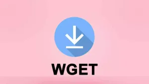 Wget rate limit