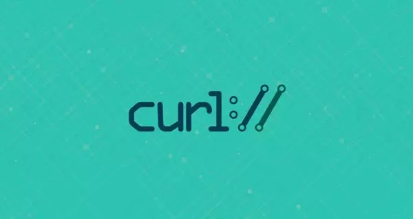 Curl query string