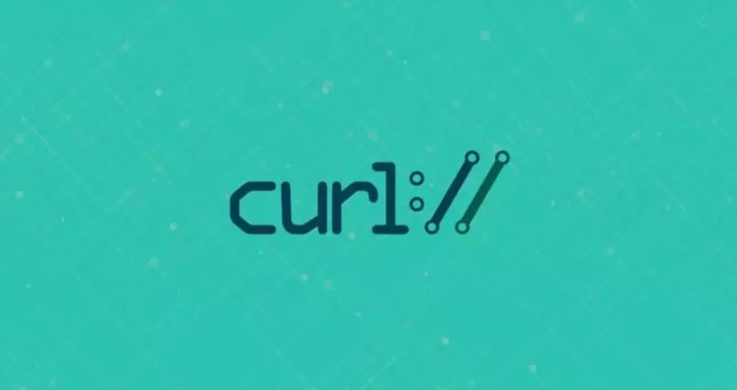 Curl query string